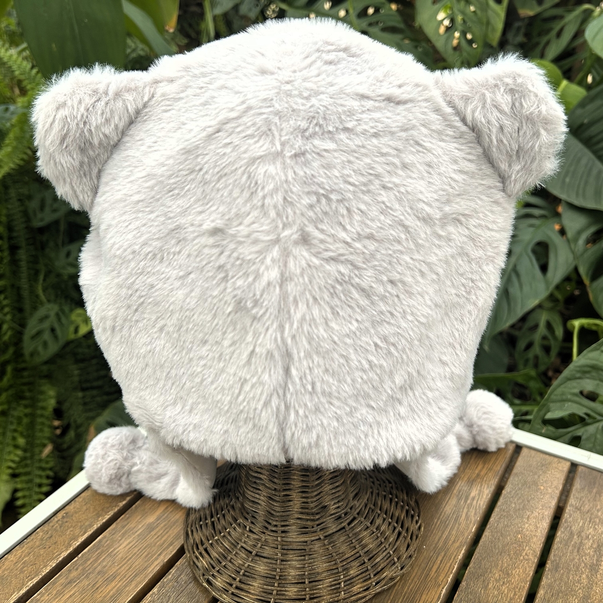 被り物 マヌルネコ | 神戸どうぶつ王国NS